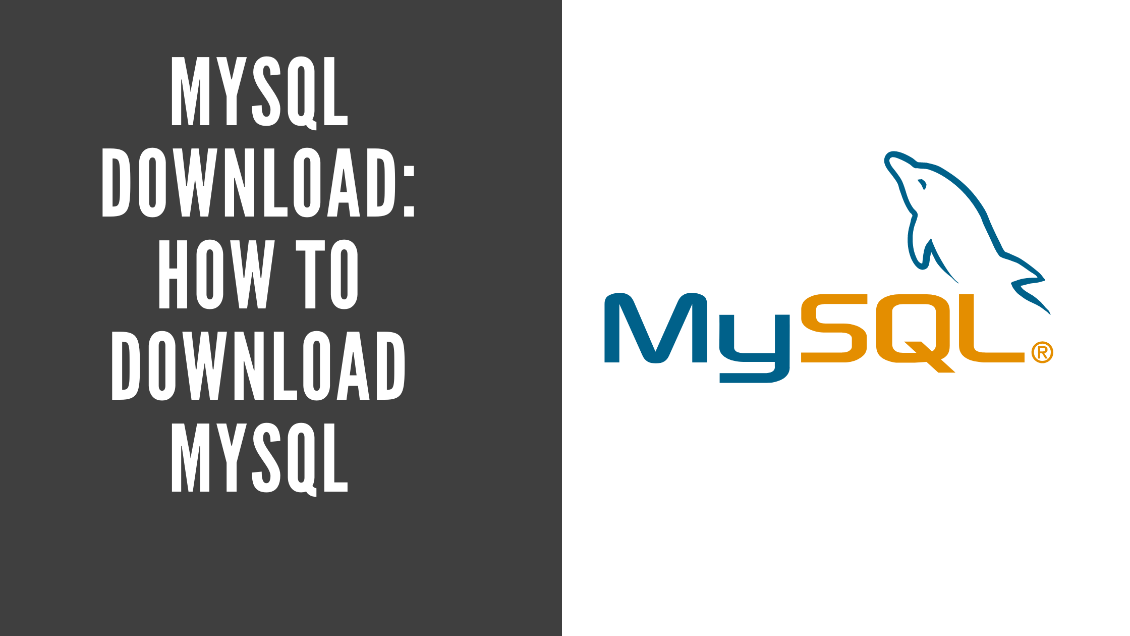 MySQL Download: How To Download MySQL