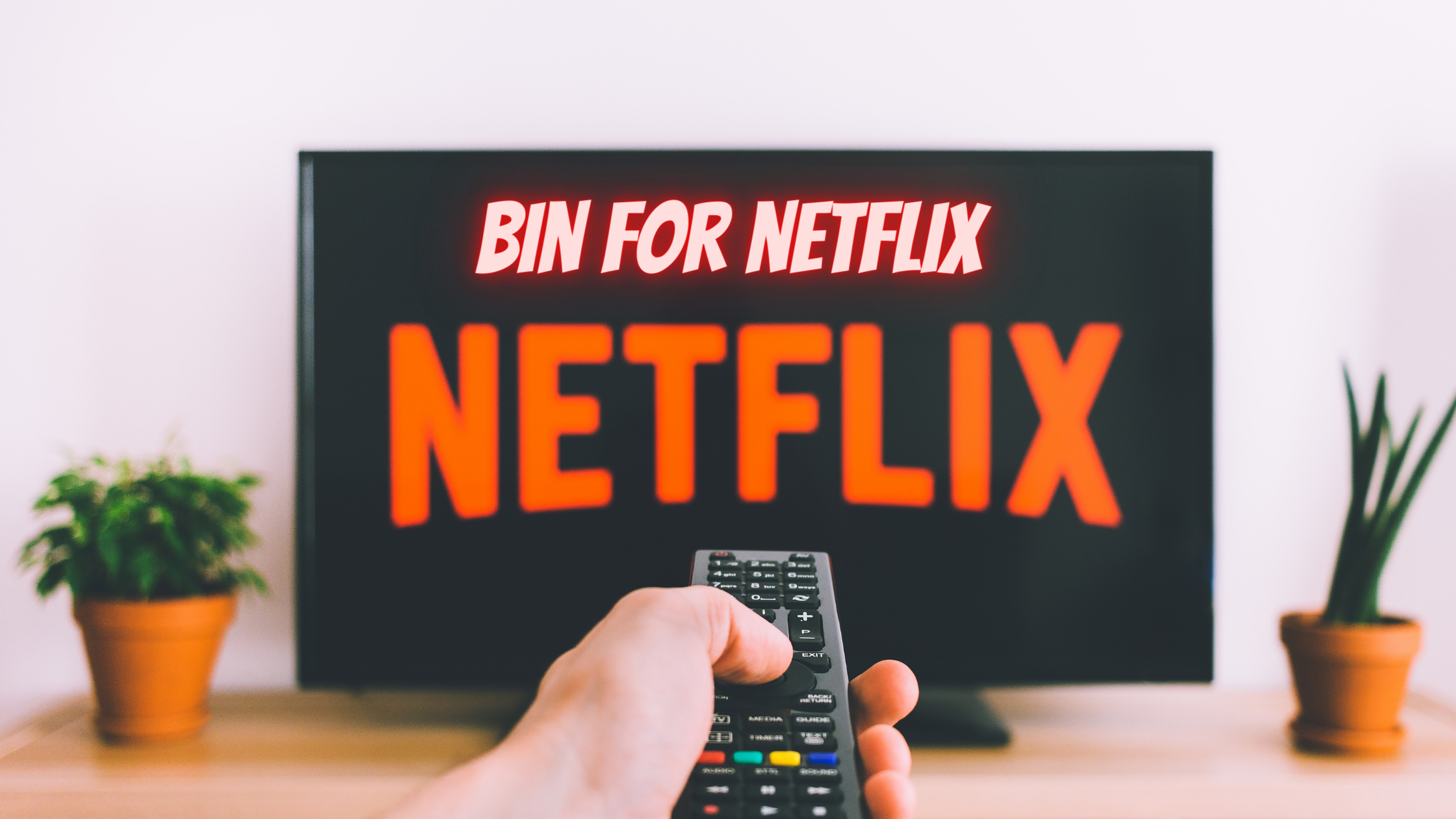 How To Use BIN For Netflix To Create Netflix Premium Accounts in 2023